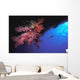 Silhouette Of Scuba Diver With Red Soft Coral Wall Mural