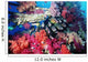 Fish And Colourful Corals Wall Mural