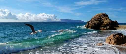 Emerald Waves Wall Decal