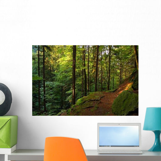 Thuringian Forest Wall Mural