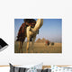 Camels And Great Pyramids Of Giza Wall Mural