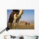 Camels And Great Pyramids Of Giza Wall Mural