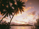 Palm Trees On Tropical Beach At Sunset, Nanuya Lai Lai Wall Mural