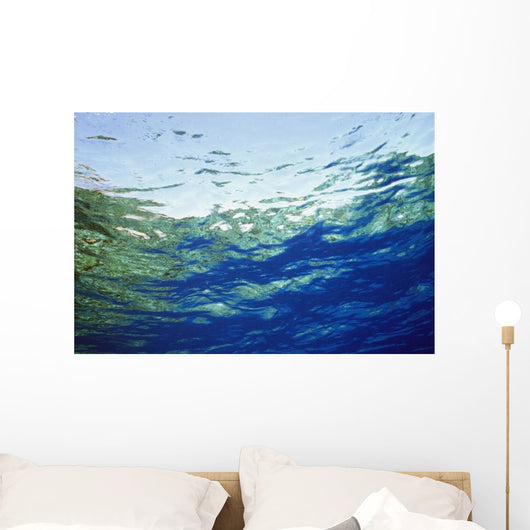 Ocean Water And Reflections, Close-Up Wall Mural