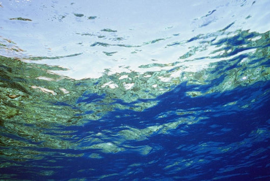 Ocean Water And Reflections, Close-Up Wall Mural