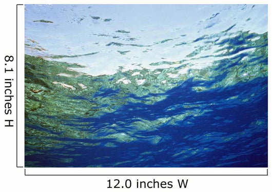 Ocean Water And Reflections, Close-Up Wall Mural