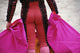 Bullfighting, Quito, Close Up Wall Mural