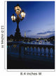 Looking From The Pont Alexandre Iii Down The Seine To The Eiffel Tower Wall Mural