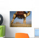 Looking Under Camel To Great Pyramids Of Giza Wall Mural