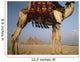 Looking Under Camel To Great Pyramids Of Giza Wall Mural