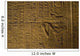 Hierolgyphs On Walls Of Second Pylon Wall Mural
