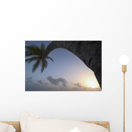 Curved Palm Tree At Sunset Wall Mural