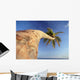 Palm Tree Above Bavaro Beach At Dawn Wall Mural