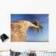 Palm Tree Above Bavaro Beach At Dawn Wall Mural