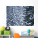 Pine Trees Covered In Snow, Les Arcs Wall Mural