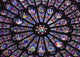 Rose Window In The Notre Dame Cathedral Wall Mural