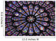 Rose Window In The Notre Dame Cathedral Wall Mural