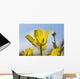 A Yellow Buttercup Against A Blue Sky Wall Mural