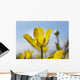 A Yellow Buttercup Against A Blue Sky Wall Mural