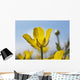 A Yellow Buttercup Against A Blue Sky Wall Mural