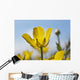 A Yellow Buttercup Against A Blue Sky Wall Mural