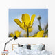 A Yellow Buttercup Against A Blue Sky Wall Mural