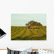 Agriculture Auvergnate Wall Decal