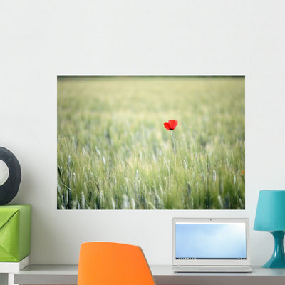 Red Poppy Wheat Field Wall Mural shown on a wall
