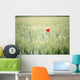 Red Poppy In Wheat Field Wall Mural