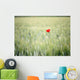 Red Poppy In Wheat Field Wall Mural
