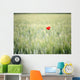 Red Poppy In Wheat Field Wall Mural