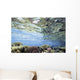 View Of Coral In Shallow Waters Wall Mural