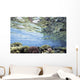View Of Coral In Shallow Waters Wall Mural
