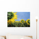 Sunflowers And Rainbow Wall Mural