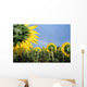 Sunflowers And Rainbow Wall Mural