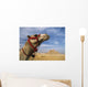 Camel In Front Of Great Pyramids Of Giza Wall Mural