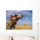 Camel In Front Of Great Pyramids Of Giza Wall Mural