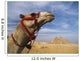 Camel In Front Of Great Pyramids Of Giza Wall Mural