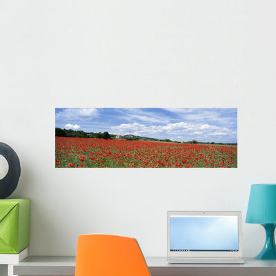 Looking across Field Poppies Wall Mural shown on a wall