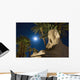 Sphinx And Date Palms With Full Moon Behind Wall Mural