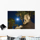 Sphinx And Date Palms With Full Moon Behind Wall Mural