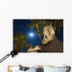 Sphinx And Date Palms With Full Moon Behind Wall Mural