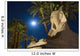 Sphinx And Date Palms With Full Moon Behind Wall Mural