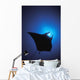 Silhouette Of Sting Ray And Shaft Of Light In Blue Water Wall Mural