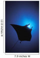 Silhouette Of Sting Ray And Shaft Of Light In Blue Water Wall Mural