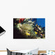 Red Sea Anemone Fish In Anemone Wall Mural