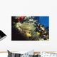 Red Sea Anemone Fish In Anemone Wall Mural
