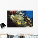 Red Sea Anemone Fish In Anemone Wall Mural