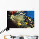 Red Sea Anemone Fish In Anemone Wall Mural