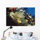 Red Sea Anemone Fish In Anemone Wall Mural